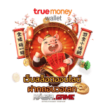 เว็บสล็อตแท้ ฝากถอน True Wallet เล่นแล้วได้เงินจริง 6 เว็บสล็อตออนไลน์ ฝากถอนวอเลท